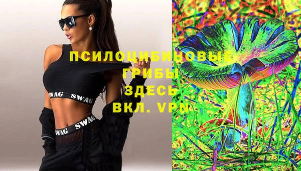 ALPHA PVP Богородицк